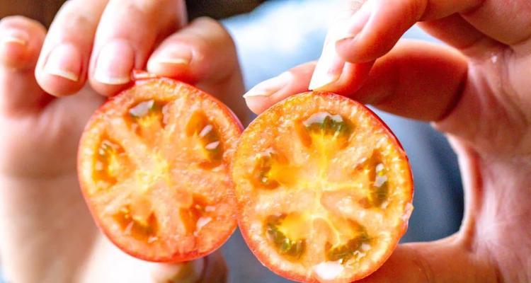 爱上甜蜜西红柿，健康生活从餐桌开始（甜蜜西红柿的营养价值和多种做法）