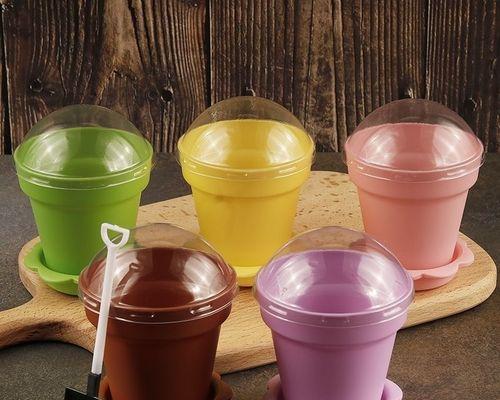 DIY酸奶盆栽木糠杯，环保又实用（利用废弃酸奶盒和木糠杯制作）