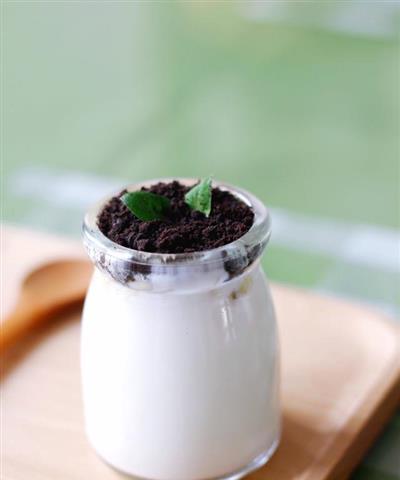 打造迷你花园——奥利奥酸奶盆栽的制作方法（从选盆到养护）