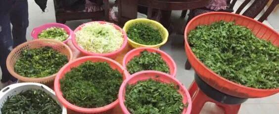 探秘汕尾小吃菜茶的美味世界（以独特口感体验地方文化的魅力）