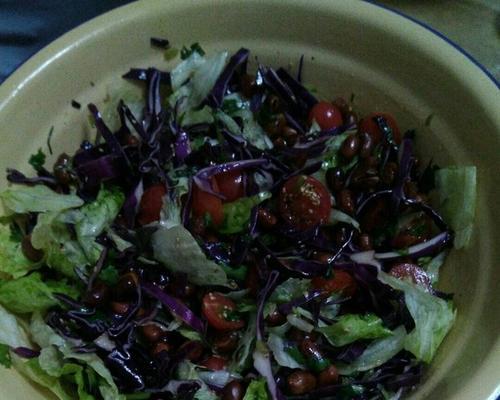 清爽大拌菜，轻松做出美味生活（15个清爽大拌菜）