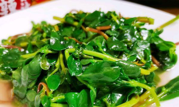 清炒苜蓿的做法（一道简单营养又美味的家常菜）