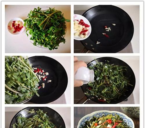 清炒马齿苋，做出美味佳肴（用鲜嫩马齿苋）