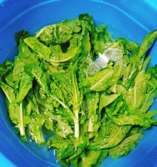 爆炒莴笋叶怎么做？莴笋叶的烹饪技巧有哪些？