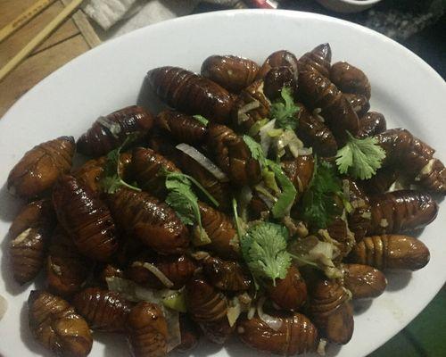 爆炒茧蛹的做法是什么？如何确保口感鲜美？