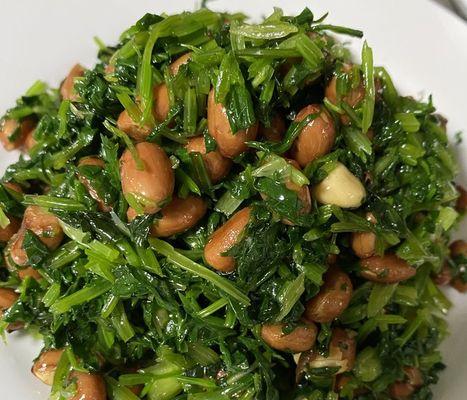 如何正确保存香菜？香菜保存方法有哪些常见问题？