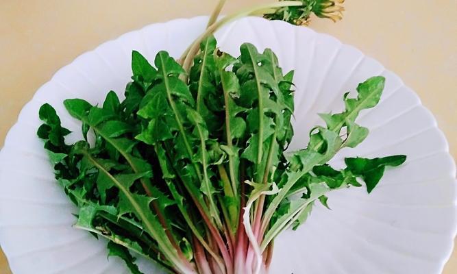 蒸蒲公英的做法是什么？如何确保营养不流失？