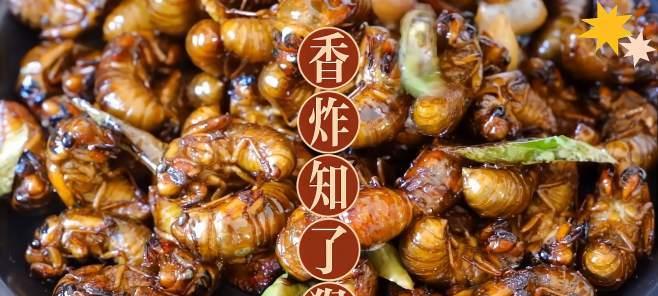 油炸金蝉怎么做才酥脆？在家制作的常见问题有哪些？