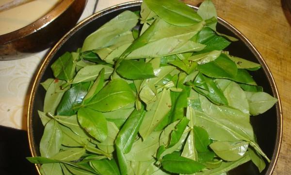 油炸花椒叶怎么做？有哪些步骤和技巧？