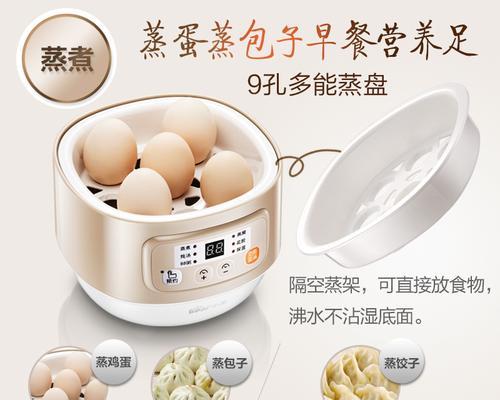 小熊电炖锅煮饭怎么做？有哪些步骤和技巧？